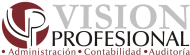 Vision Profesional